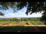 Jefferson Monticello
